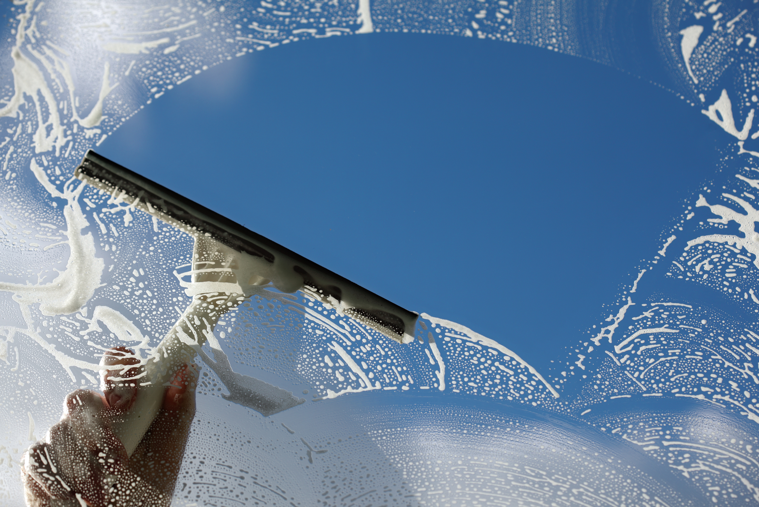 Window Cleaning Services